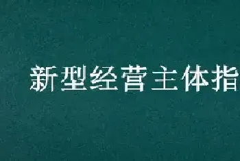 新型经营主体指什么