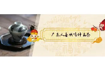 广东人喜欢喝什么茶