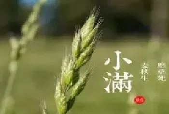 小满节气各地都有哪些习俗要注意的