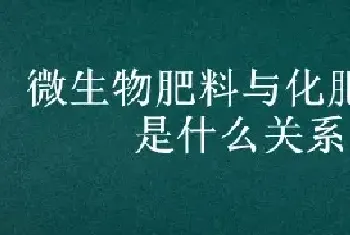 微生物肥料与化肥之间是什么关系