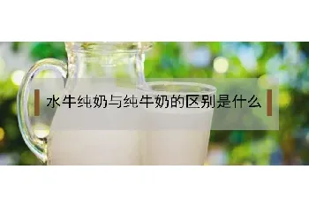 水牛纯奶与纯牛奶有什么区别？