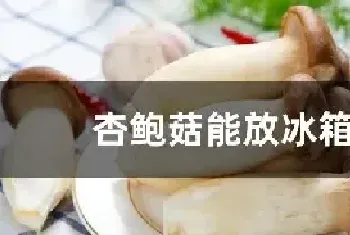 杏鲍菇能放冰箱吗