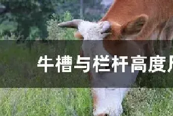 牛槽与栏杆高度尺寸