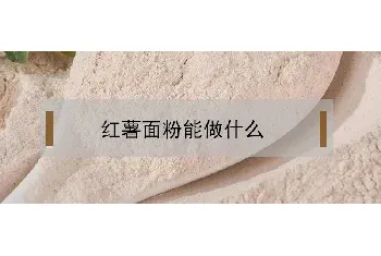 红薯面粉能做什么