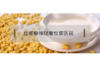 豆浆粉和现磨豆浆区别在哪里？