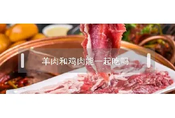 羊肉和鸡肉能一起吃吗