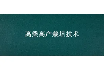 高梁高产栽培技术