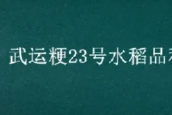 武运粳23号水稻品种介绍