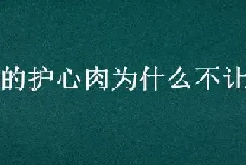 猪的护心肉为什么不让卖