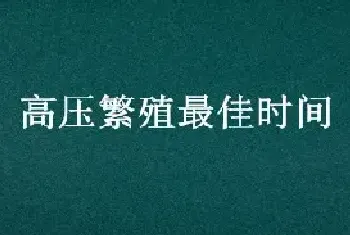 高压繁殖最佳时间