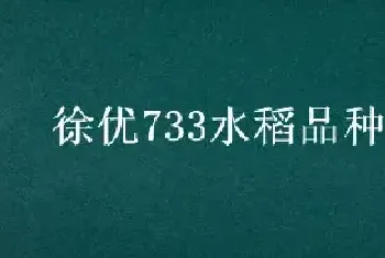 徐优733水稻品种介绍