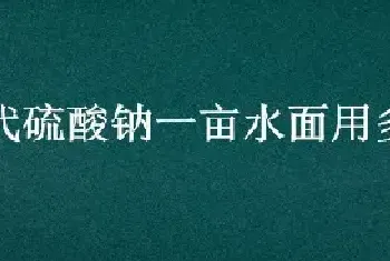 硫代硫酸钠一亩水面用多少