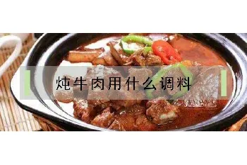 炖牛肉用什么调料