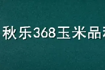 秋乐368玉米品种简介