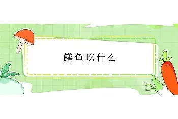 鳝鱼吃什么