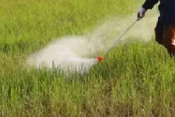 打什么解药能去锈去津锈去津对后茬作物有什么影响