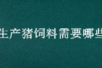 生产猪饲料需要哪些原材料