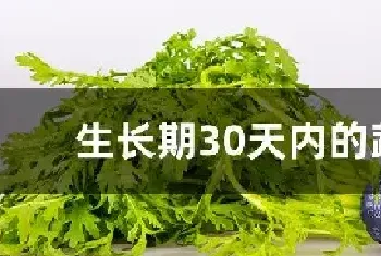 生长期30天内的蔬菜