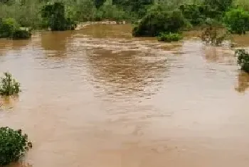 暴雨对农业的影响