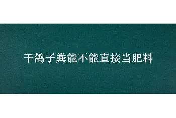 干鸽子粪能不能直接当肥料