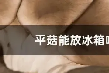 平菇能放冰箱吗