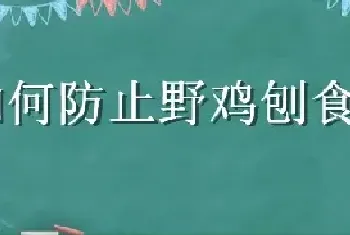 如何防止野鸡刨食玉米种