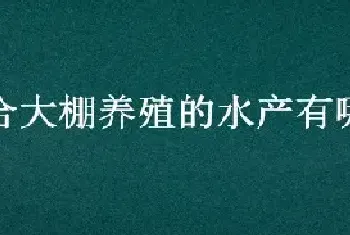 适合大棚养殖的水产有哪些