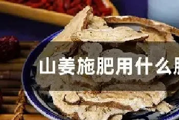 山姜施肥用什么肥料