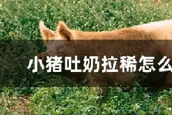 小猪吐奶拉稀怎么回事