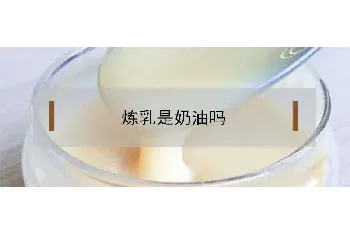 炼乳是奶油吗