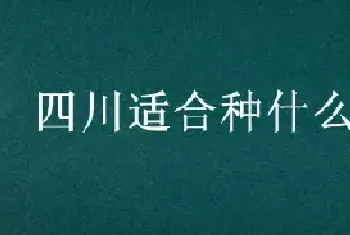 四川适合种什么水果