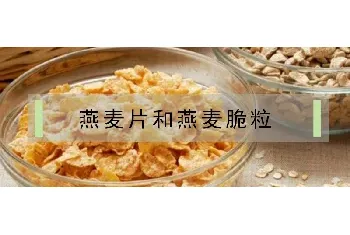 燕麦脆粒和燕麦片区别