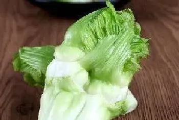 儿菜和榨菜是一种菜吗?