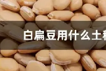 白扁豆用什么土种植