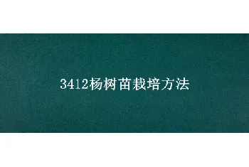 3412杨树苗栽培方法