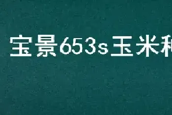 宝景653s玉米种特点