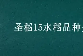 圣稻15水稻品种介绍