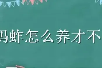 蚂蚱怎么养才不会死了