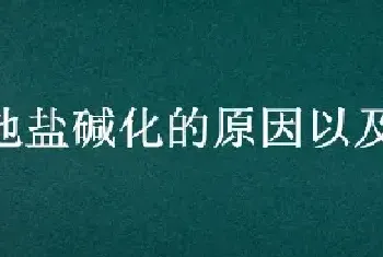 土地盐碱化的原因以及治理措施