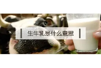 生牛乳是什么意思