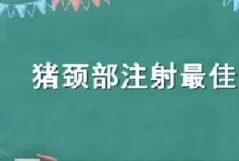 猪颈部注射最佳位置