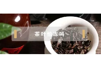 茶叶怕冻吗