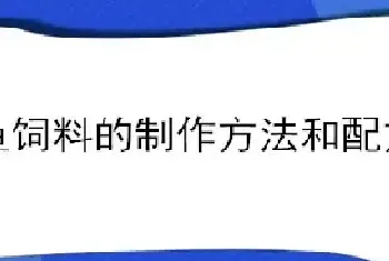 鱼饲料的制作方法和配方