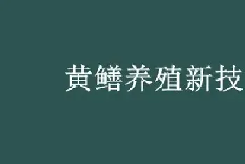 黄鳝养殖新技术