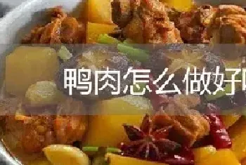 鸭肉怎么做才好吃呢？