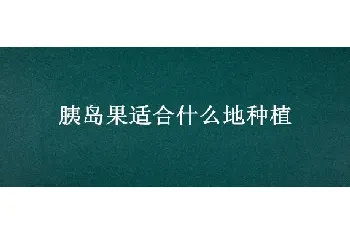 胰岛果适合什么地种植