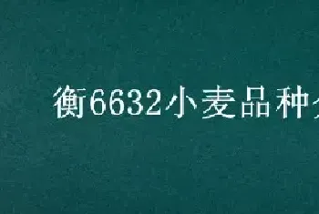 衡6632小麦品种介绍