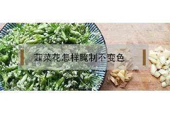 韮菜花怎样腌制不变色