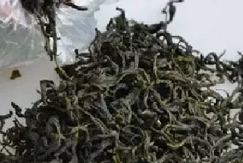 碎铜茶的功效与作用 碎铜茶有什么危害