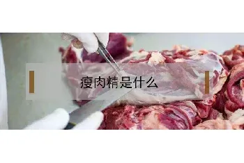 瘦肉精是什么